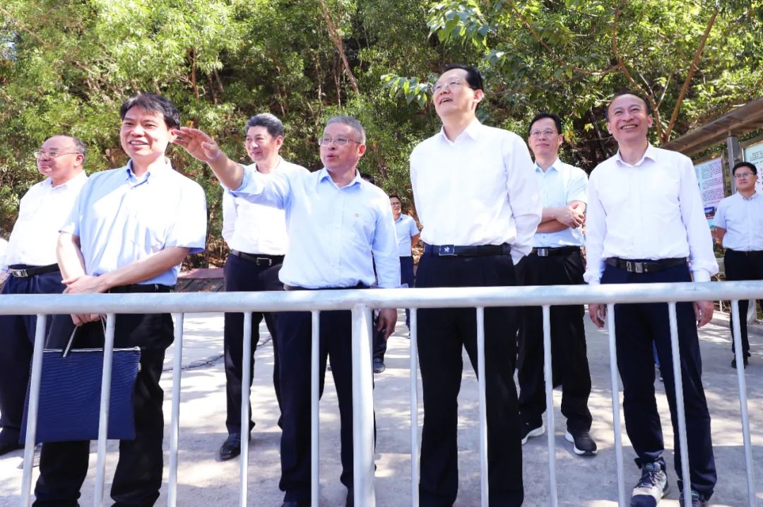 自然资源部到菠菜担保网开展新一轮找矿突破战略行动专题调研