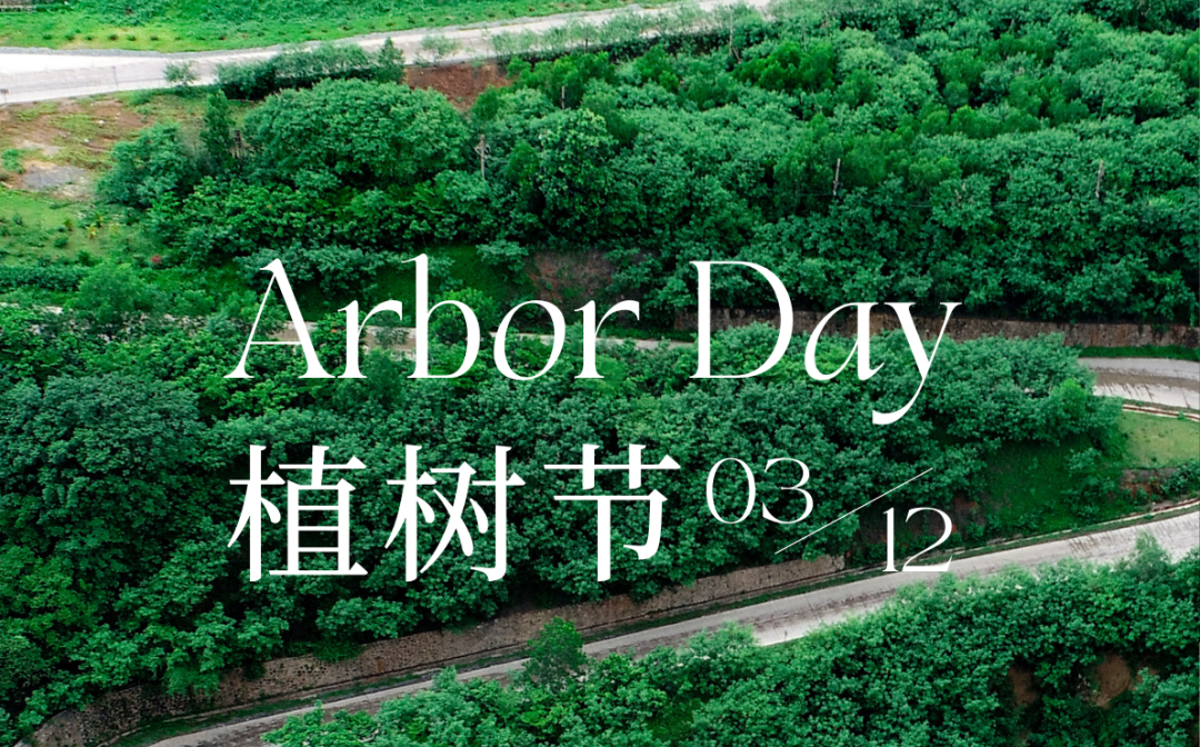 植树节 | 菠菜担保网的绿色画卷