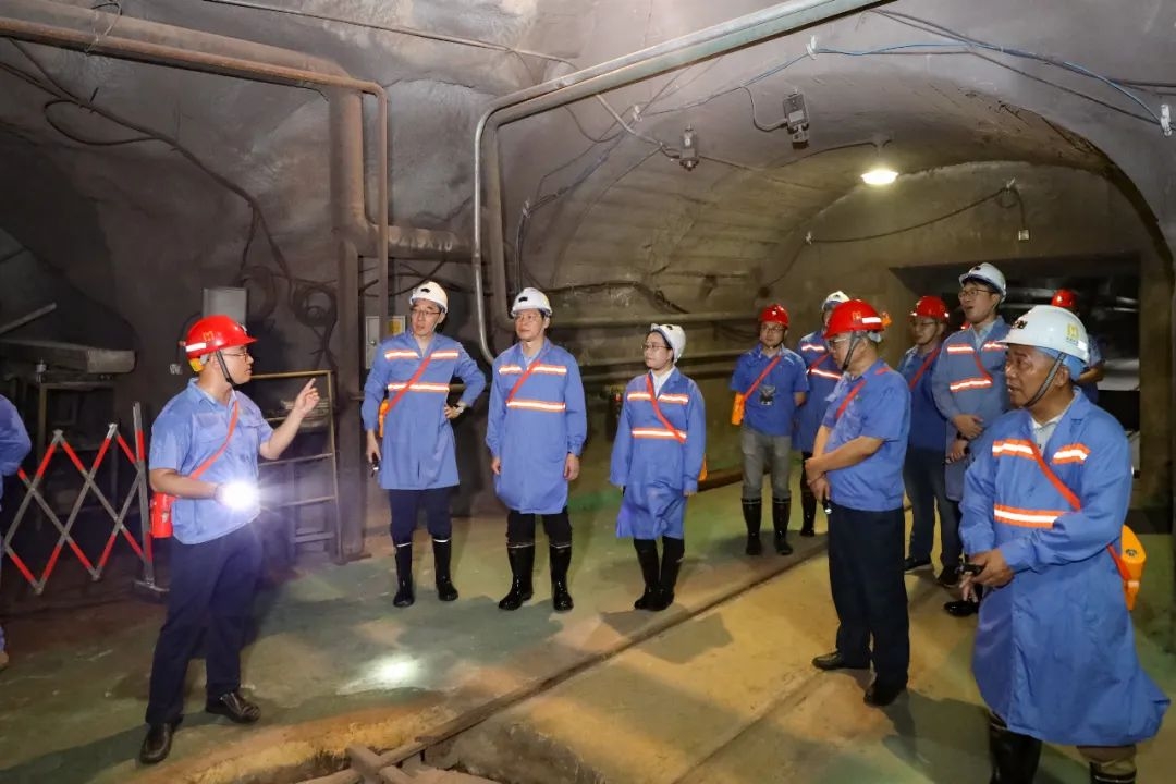 昌江县委书记陈儒茂到菠菜担保网调研