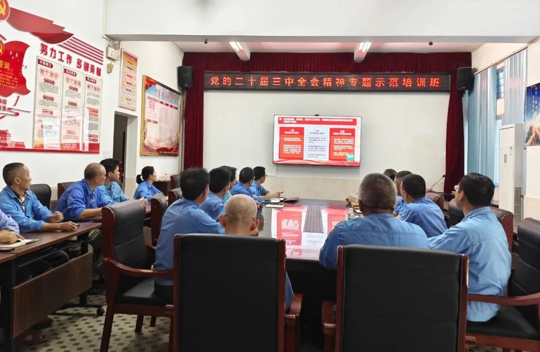 菠菜担保网组织寓目学习贯彻党的二十届三中全会精神专题树模班课堂视频直播