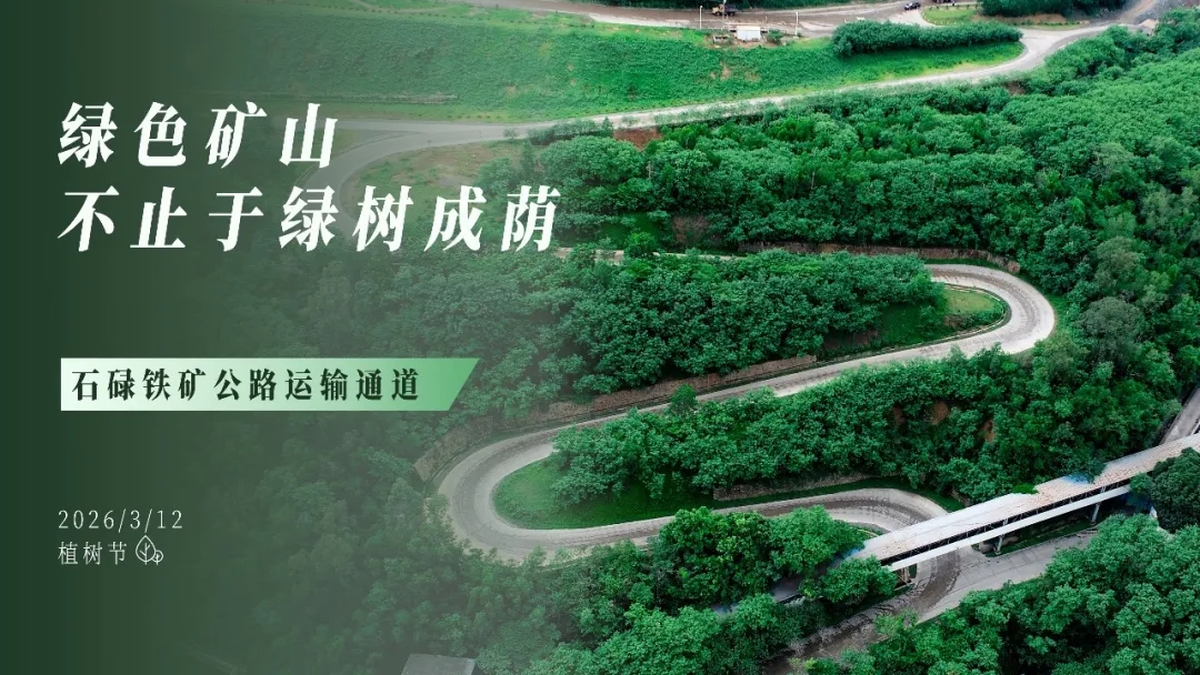 植树节 | 绿色矿山，，，，不止于绿树成荫